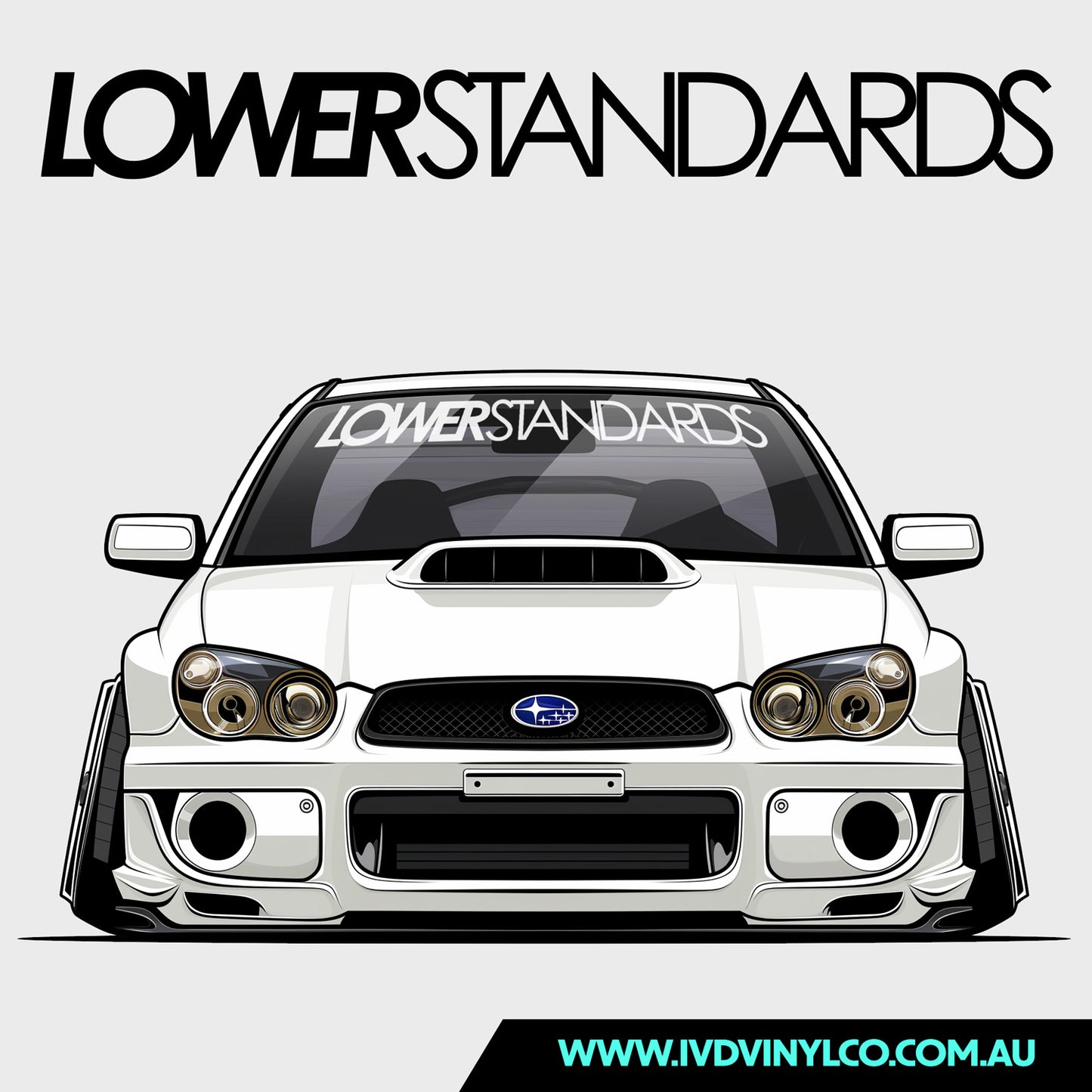 Lower Standards - Window Banner