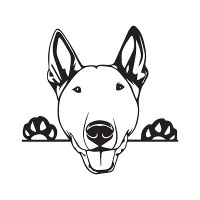 Bull Terrier